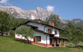 Apartments Ivancic